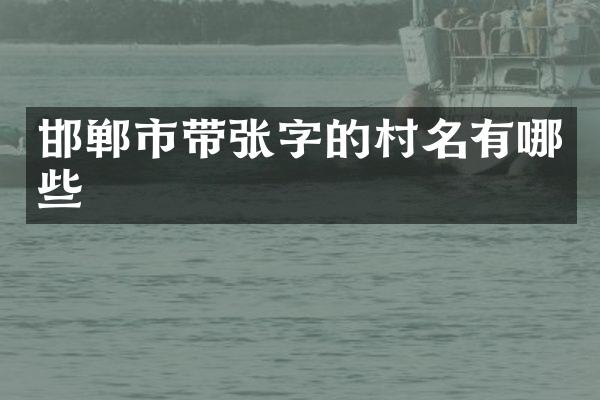 邯郸市带张字的村名有哪些