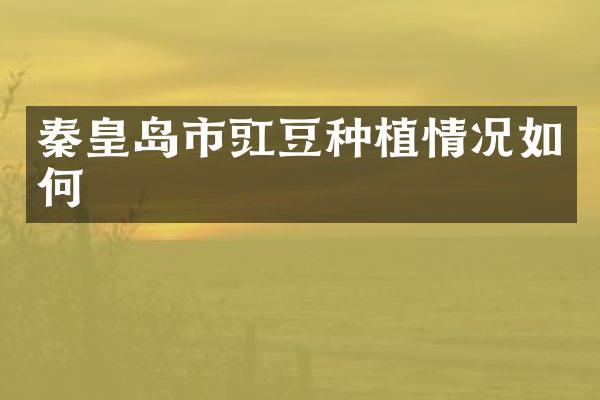 秦皇岛市豇豆种植情况如何