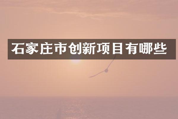 石家庄市创新项目有哪些