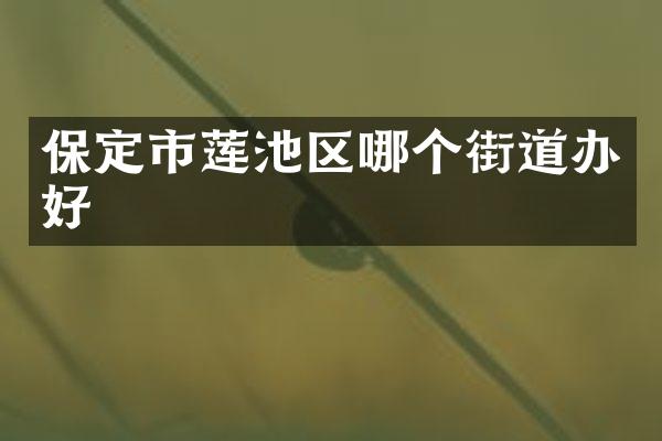 保定市莲池区哪个街道办好
