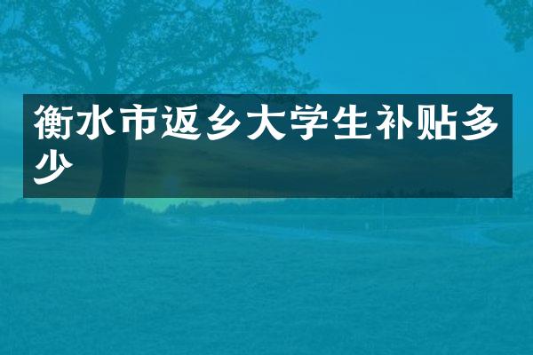 衡水市返乡大学生补贴多少