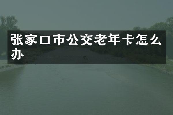 张家口市公交老年卡怎么办