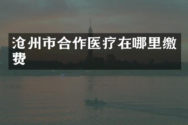 沧州市合作医疗在哪里缴费