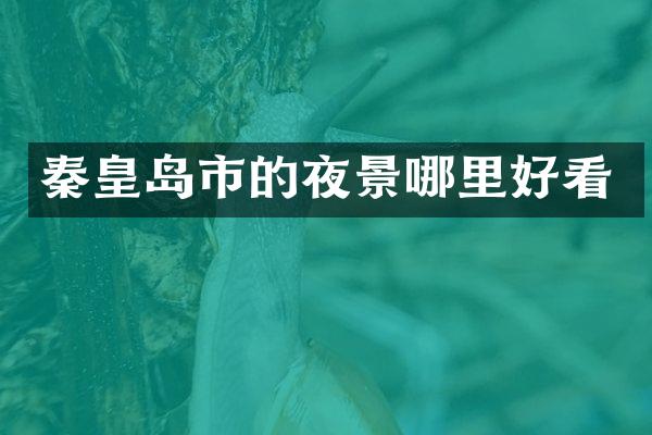 秦皇岛市的夜景哪里好看
