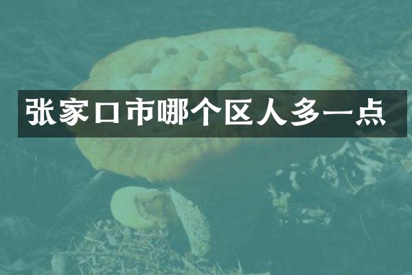 张家口市哪个区人多一点