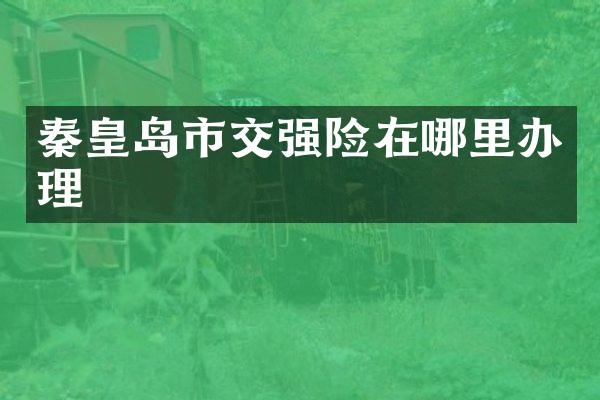 秦皇岛市交强险在哪里办理