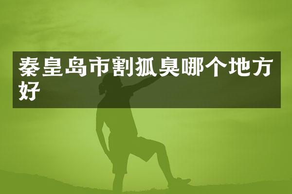 秦皇岛市割狐臭哪个地方好