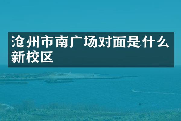 沧州市南广场对面是什么新校区