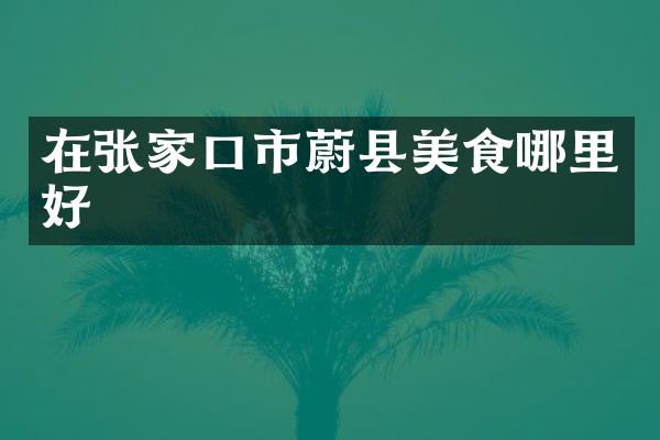 在张家口市蔚县美食哪里好