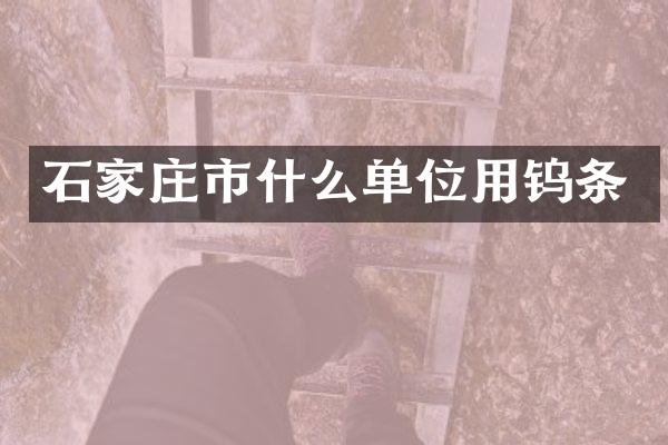 石家庄市什么单位用钨条