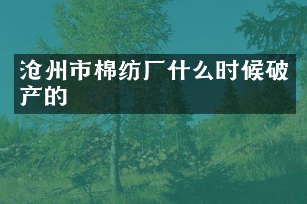 沧州市棉纺厂什么时候破产的