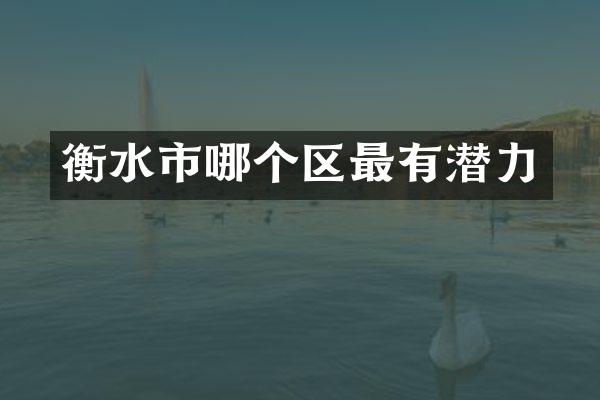 衡水市哪个区最有潜力