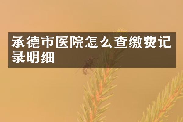 承德市医院怎么查缴费记录明细