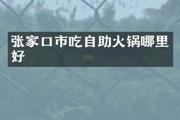 张家口市吃自助火锅哪里好