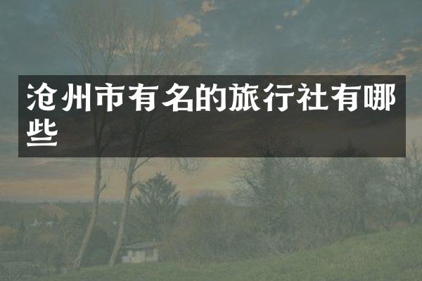 沧州市有名的旅行社有哪些