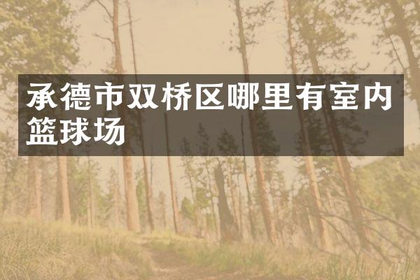 承德市双桥区哪里有室内篮球场