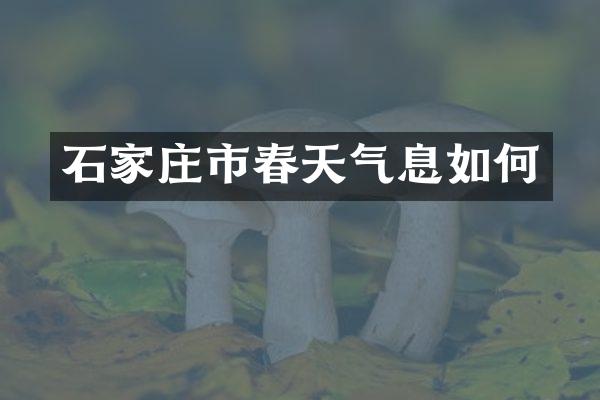 石家庄市春天气息如何