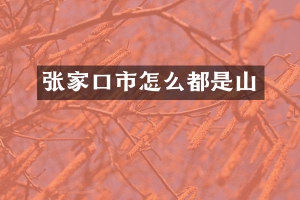 张家口市怎么都是山