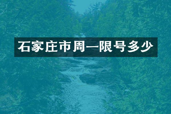 石家庄市周一限号多少