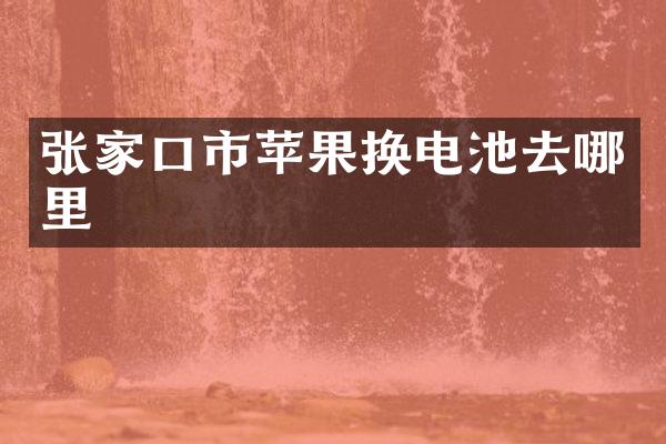 张家口市苹果换电池去哪里