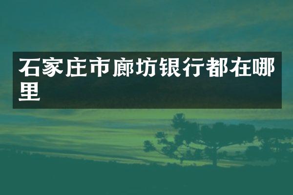 石家庄市廊坊银行都在哪里