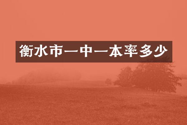 衡水市一中一本率多少