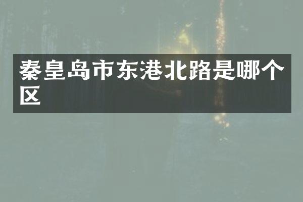 秦皇岛市东港北路是哪个区