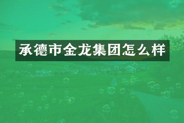 承德市金龙集团怎么样