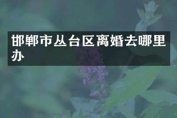 邯郸市丛台区离婚去哪里办