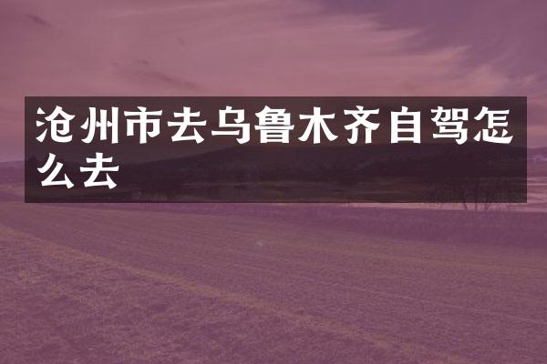 沧州市去乌鲁木齐自驾怎么去