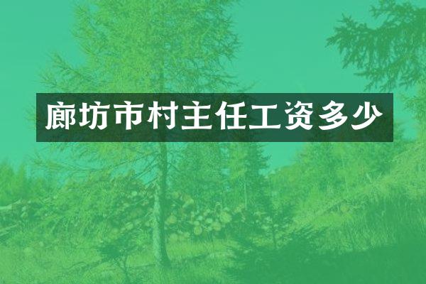 廊坊市村主任工资多少