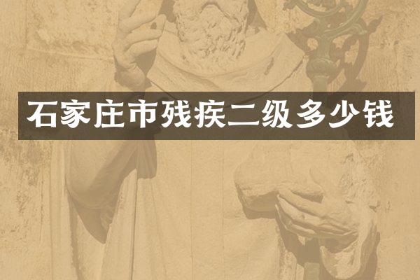 石家庄市残疾二级多少钱