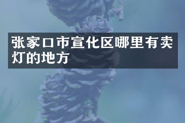 张家口市宣化区哪里有卖灯的地方