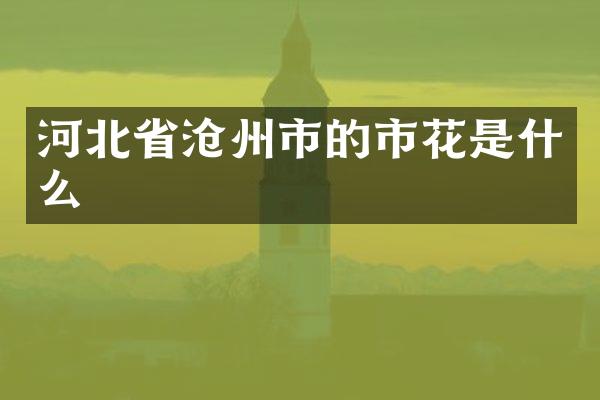 河北省沧州市的市花是什么