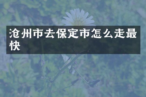 沧州市去保定市怎么走最快