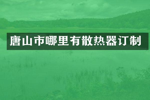 唐山市哪里有散热器订制