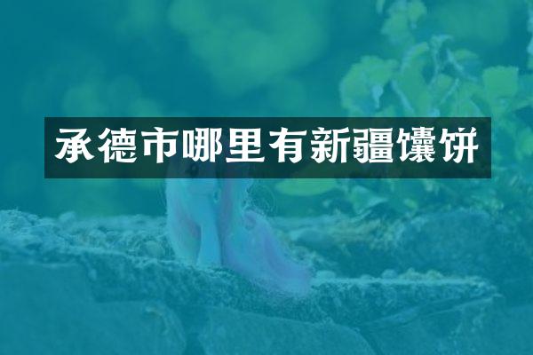 承德市哪里有新疆馕饼