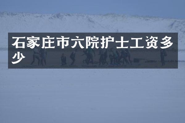 石家庄市六院护士工资多少