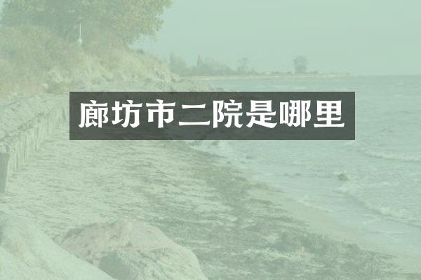 廊坊市二院是哪里