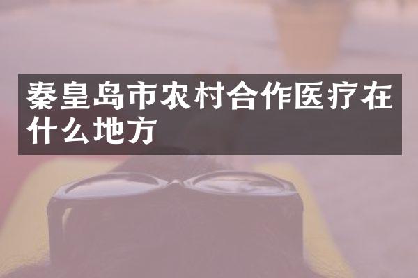 秦皇岛市农村合作医疗在什么地方