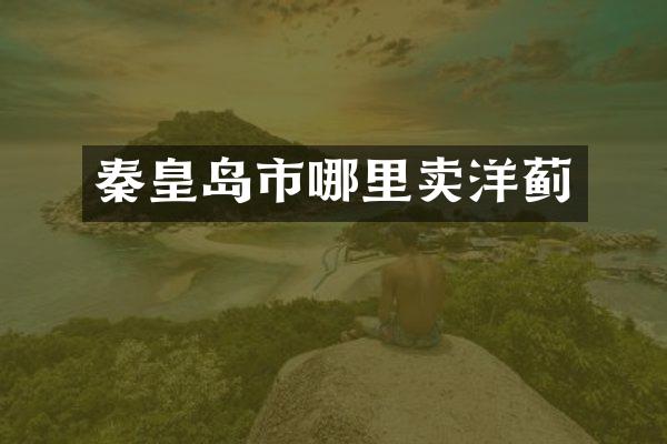 秦皇岛市哪里卖洋蓟