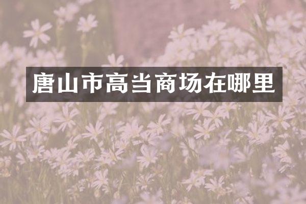 唐山市高当商场在哪里