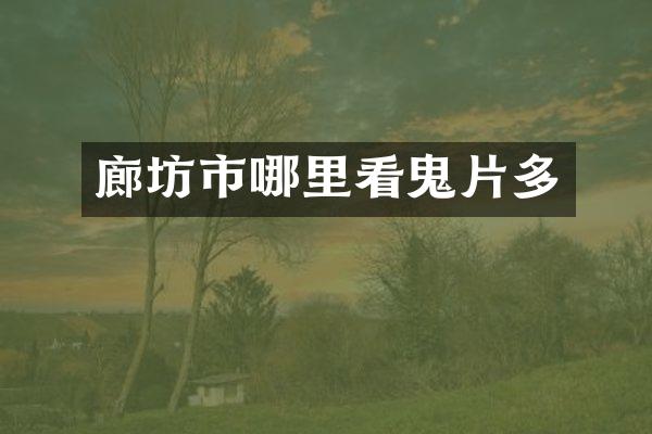 廊坊市哪里看鬼片多