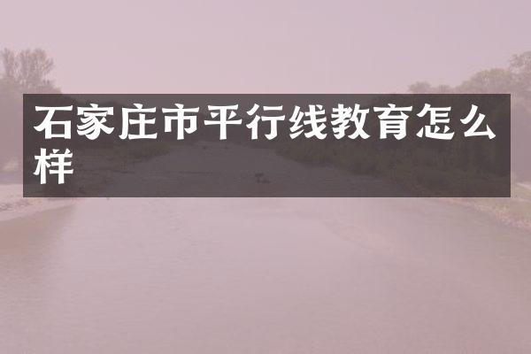 石家庄市平行线教育怎么样