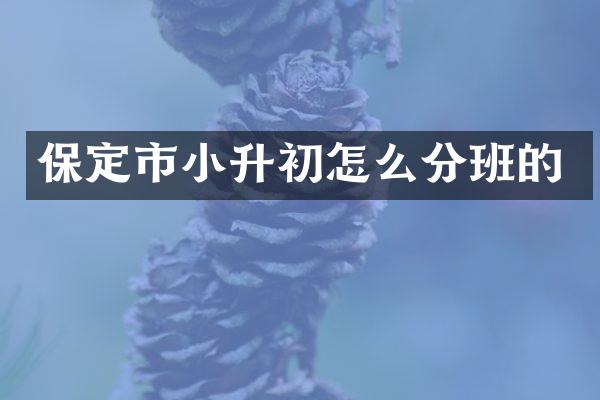 保定市小升初怎么分班的