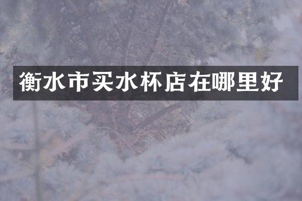 衡水市买水杯店在哪里好
