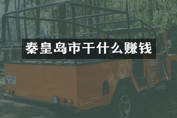 秦皇岛市干什么赚钱