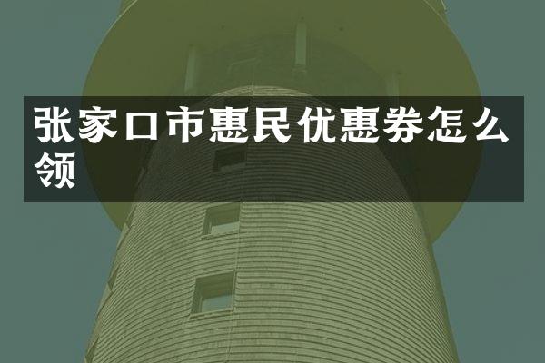 张家口市惠民优惠券怎么领