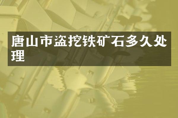 唐山市盗挖铁矿石多久处理