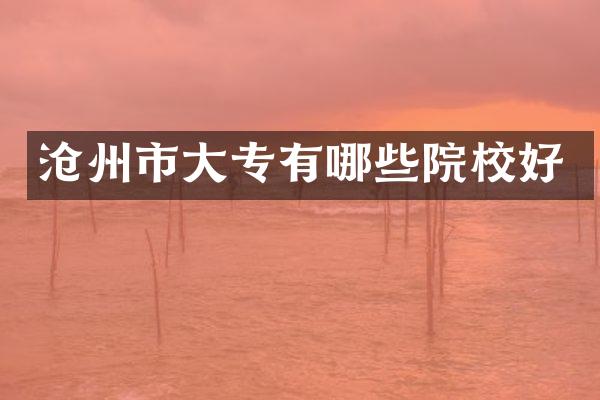 沧州市大专有哪些院校好